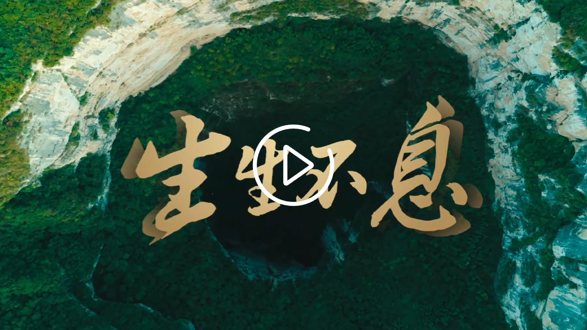生生不息宣傳片