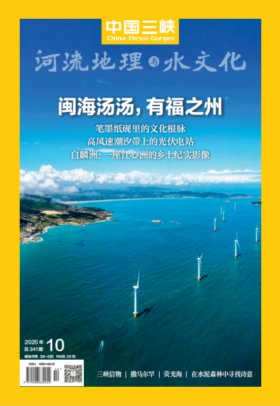 2025年第10期